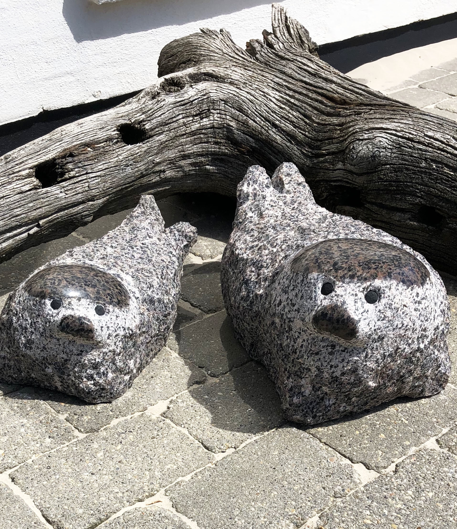 sæler af granit